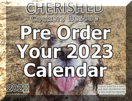 2023 Calendar