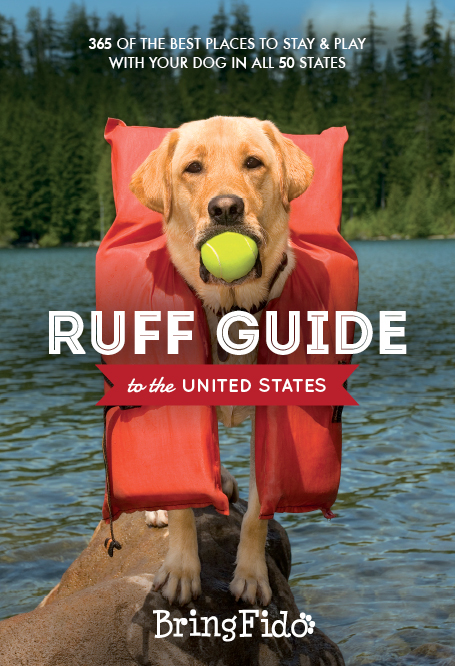 Ruff Guide